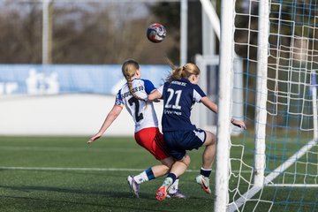 Bild 313 - wBJ Hamburger SV - Hertha BSC : Ergebnis: 2:1